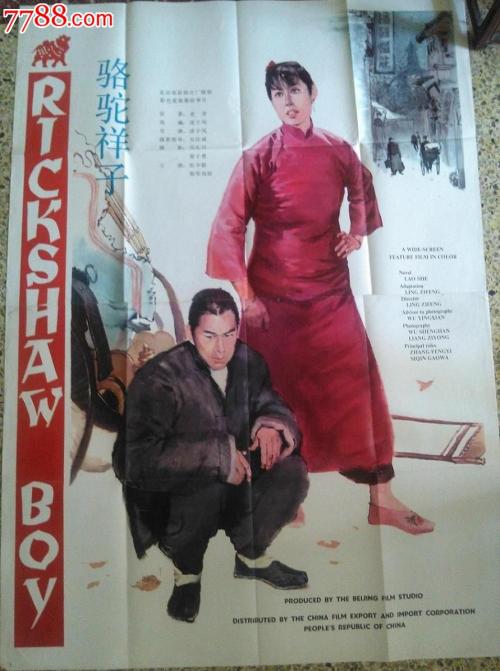 巴西驾驶证作假